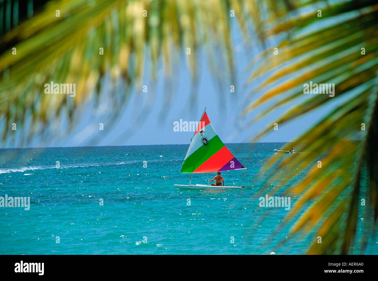 windsurf school near hotel grand lido island of jamaica archipelago of the greater antilles caribbean Stock Photo