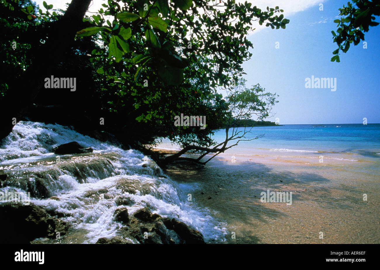 dunns river falls island of jamaica archipelago of the greater antilles caribbean Stock Photo