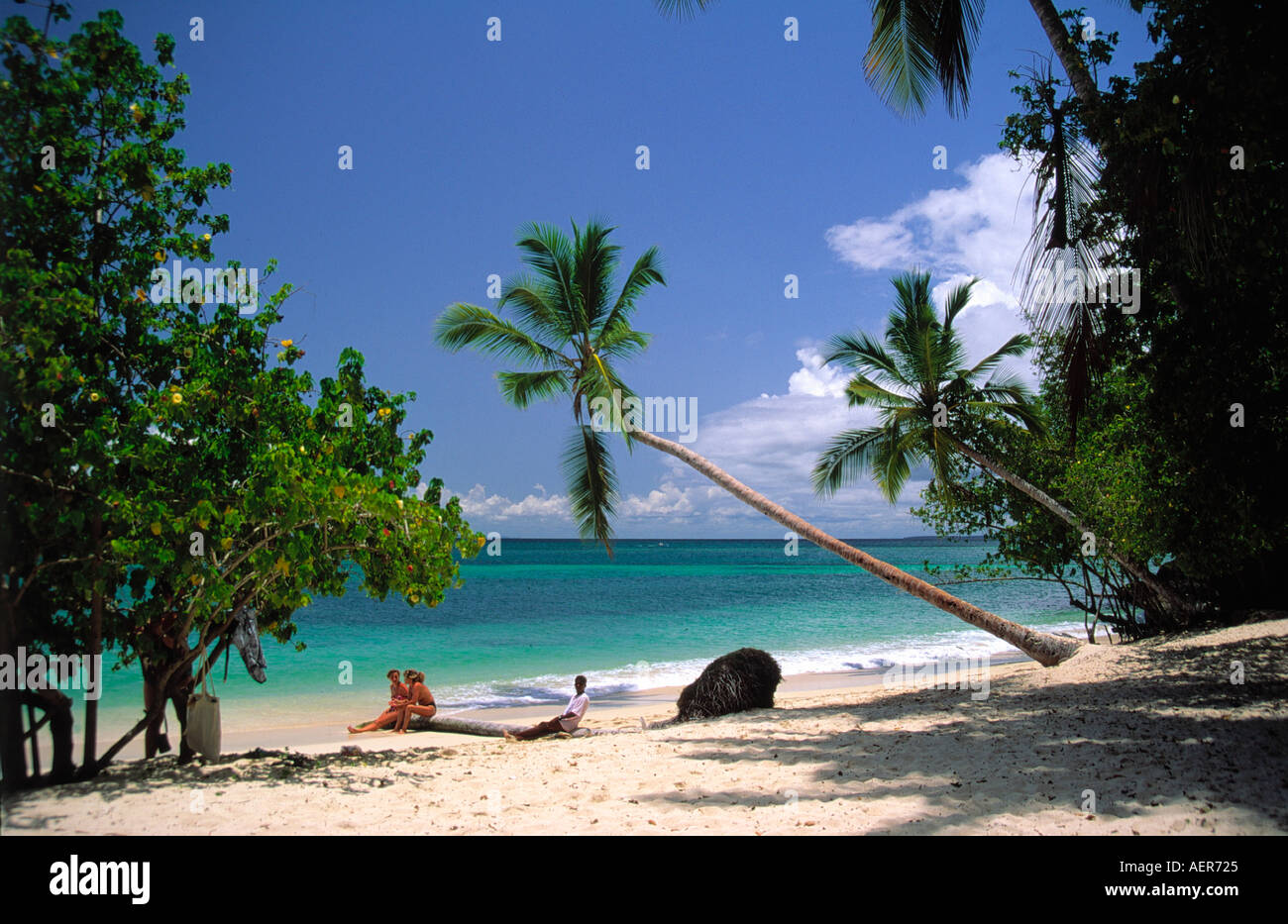 tropical beach on island of cayo levantado dominican republic archipelago of the greater antilles caribbean Stock Photo