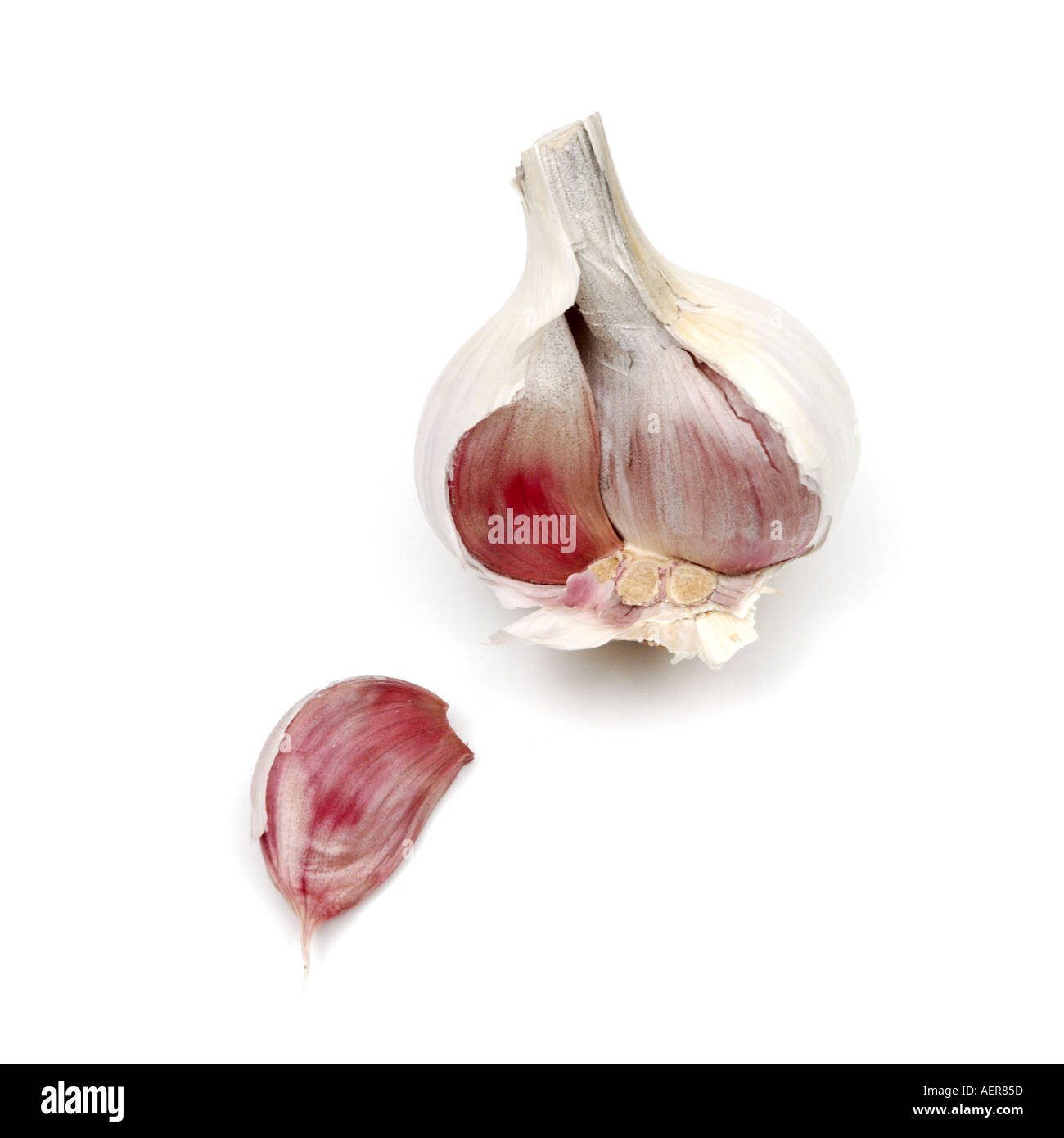 Garlic bulb and clove Stock Photo Alamy
