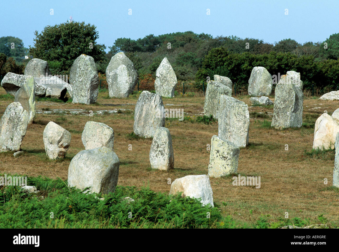 collection of megalithic standing stones in the french landscape Stock Photo
