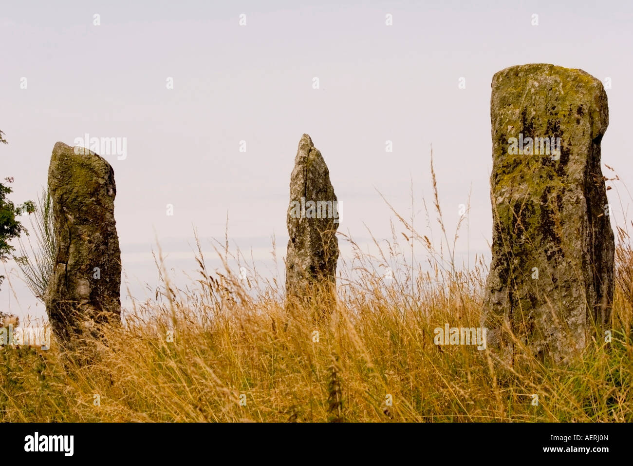Standing stones at Colmealie, Glen Esk, Angus, Scotland Stock Photo