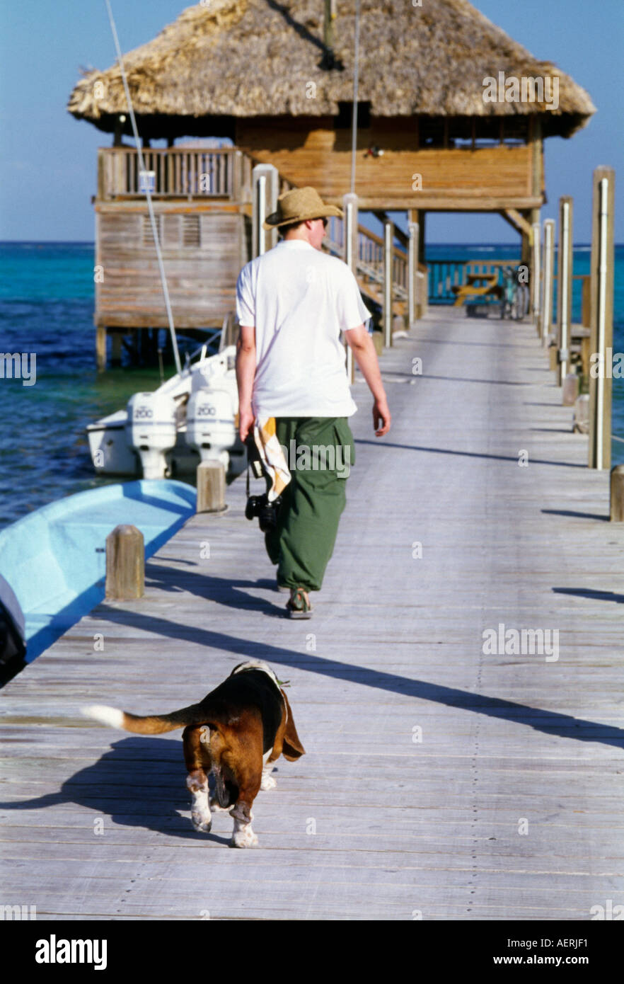 A man walking to a palapa bar in Ambergris, Belize being followed by a basset hound dog. Stock Photo