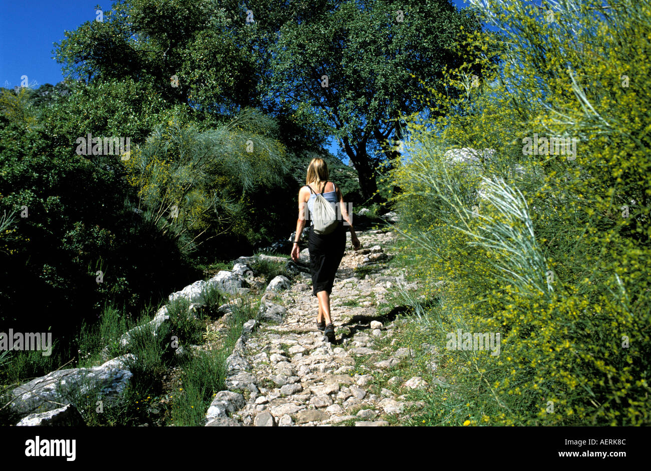 sierra de Grazalema nature reserve ancient roman path Stock Photo