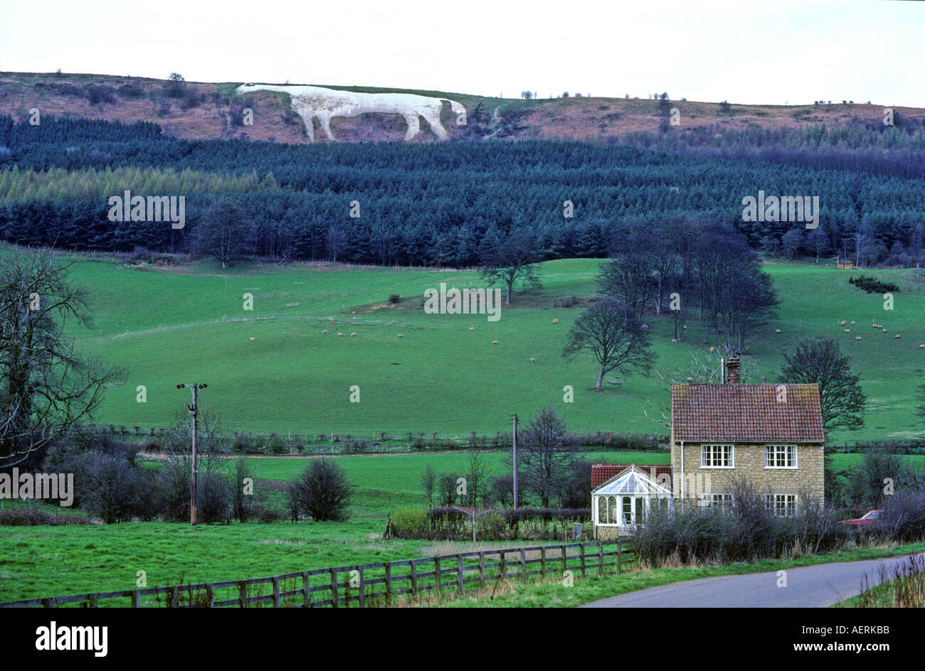 The Kilburn White Horse North Yorkshire England Stock Photo Alamy