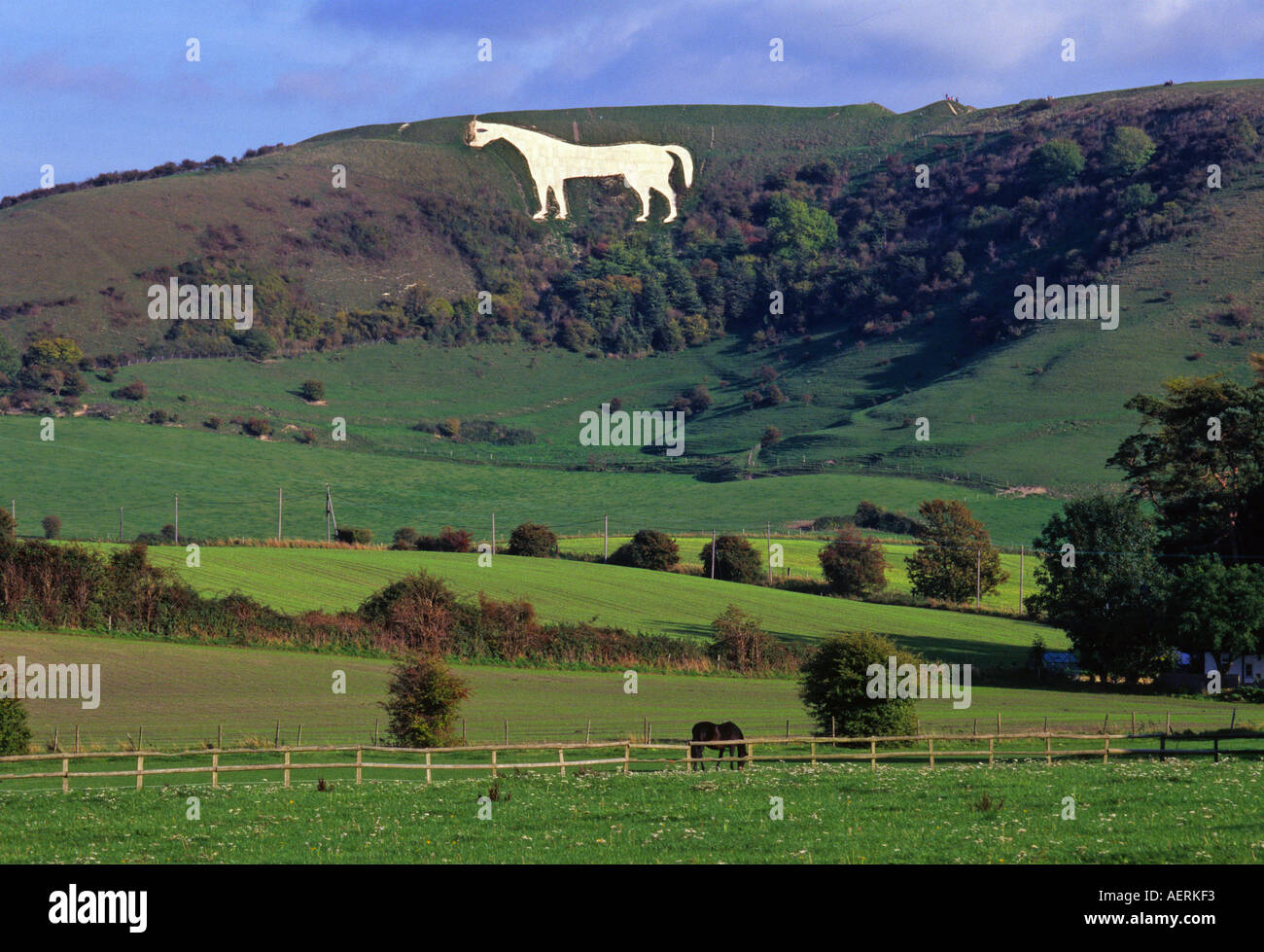 The Westbury White Horse Wiltshire England Stock Photo 4487154 Alamy