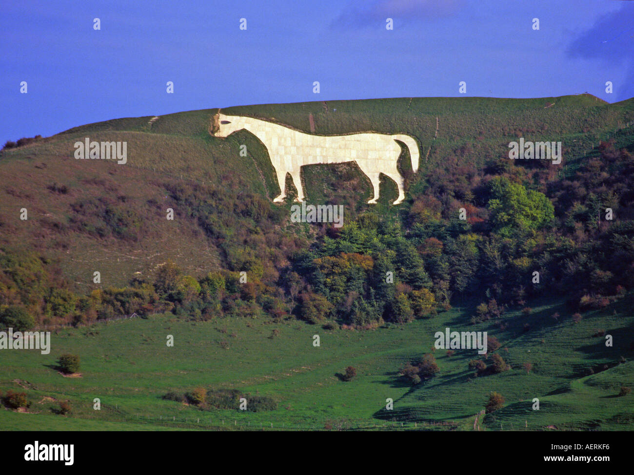 The Westbury White Horse Wiltshire England Stock Photo Alamy