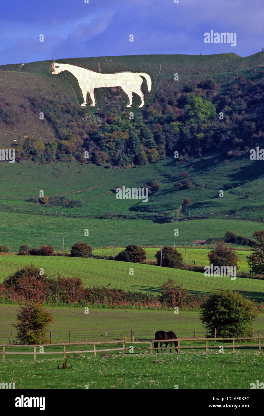 The Westbury White Horse Wiltshire England Stock Photo Alamy