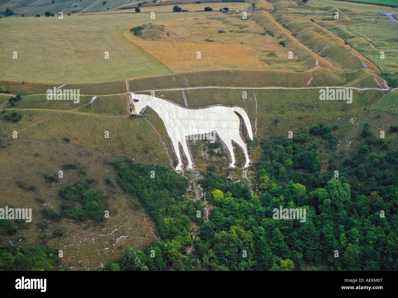 Aerial View of Westbury White Horse Wiltshire England Stock Photo Alamy