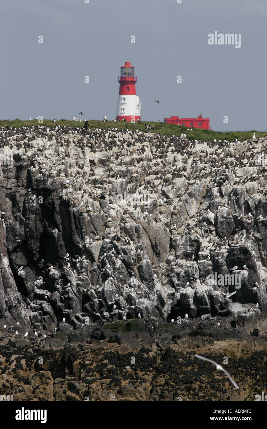 Staple Island towards Longstone Lighthouse Stock Photo