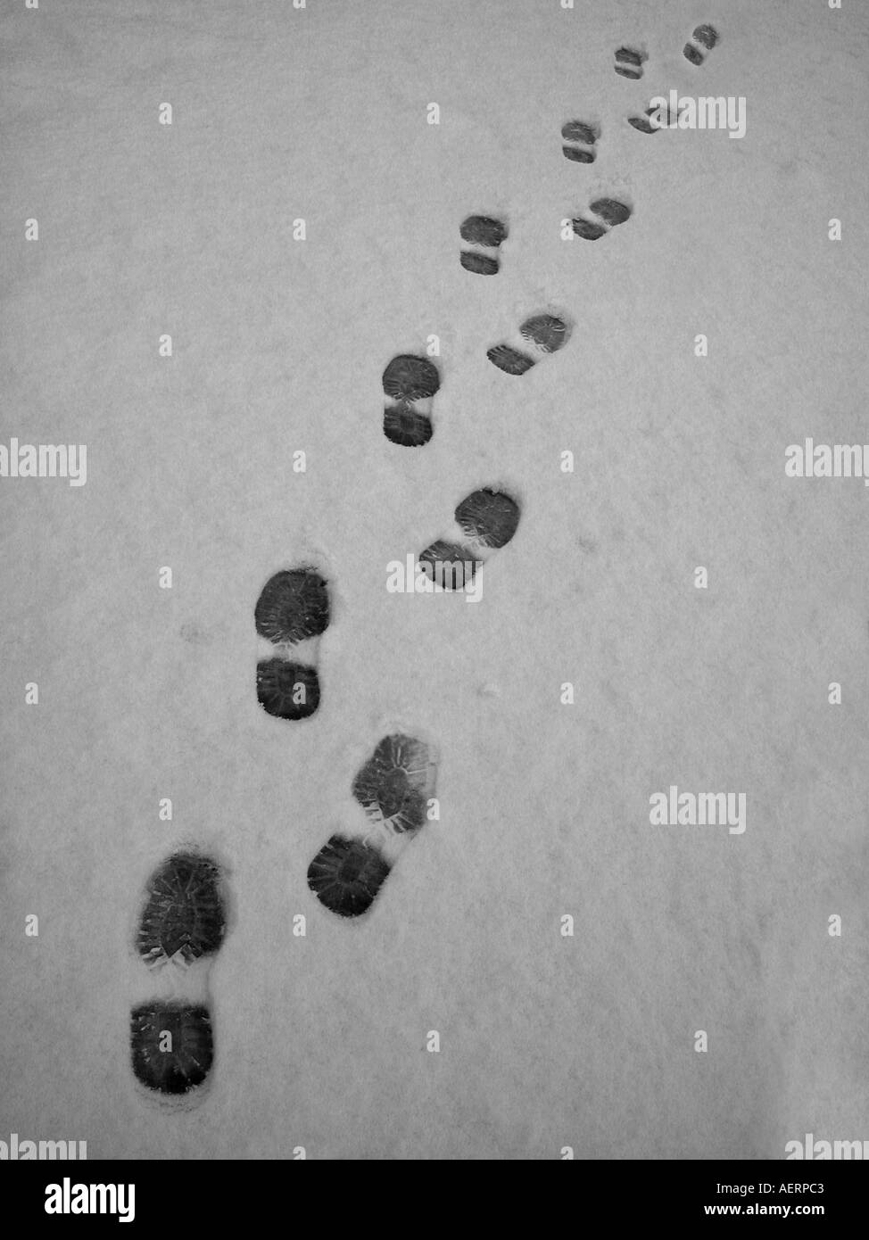 Footsteps Snow Stock Photo 4487874 Alamy the-foot-chart-shows-how-many-different-types-of-feet-are