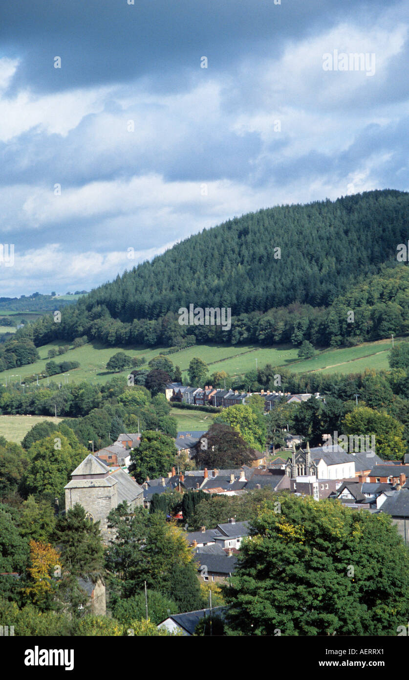 Livestock Market Powys sheep cymru wales Llanidloes farming sales