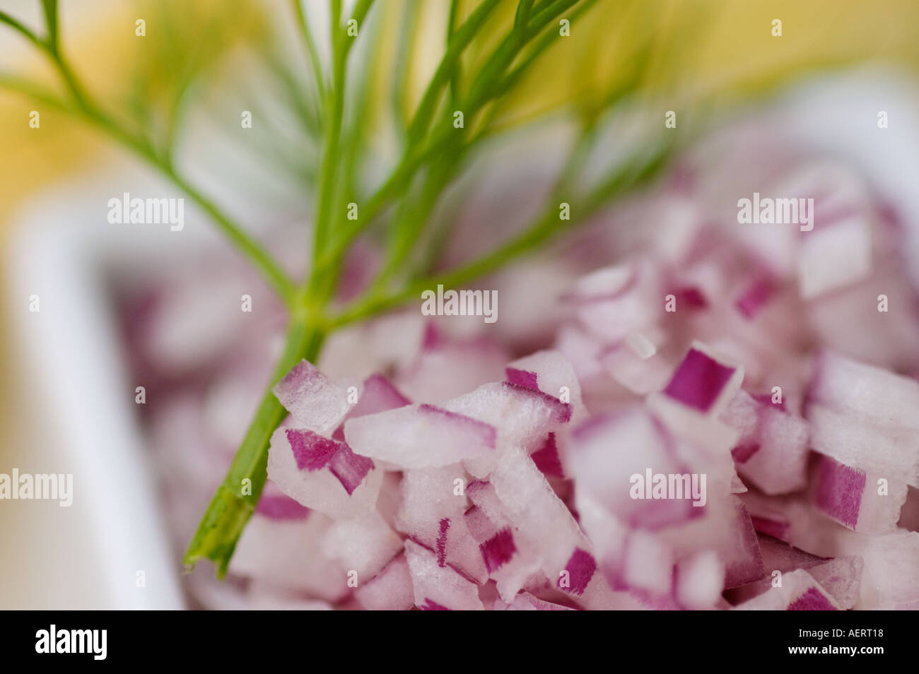 Food, Onions Stock Photo