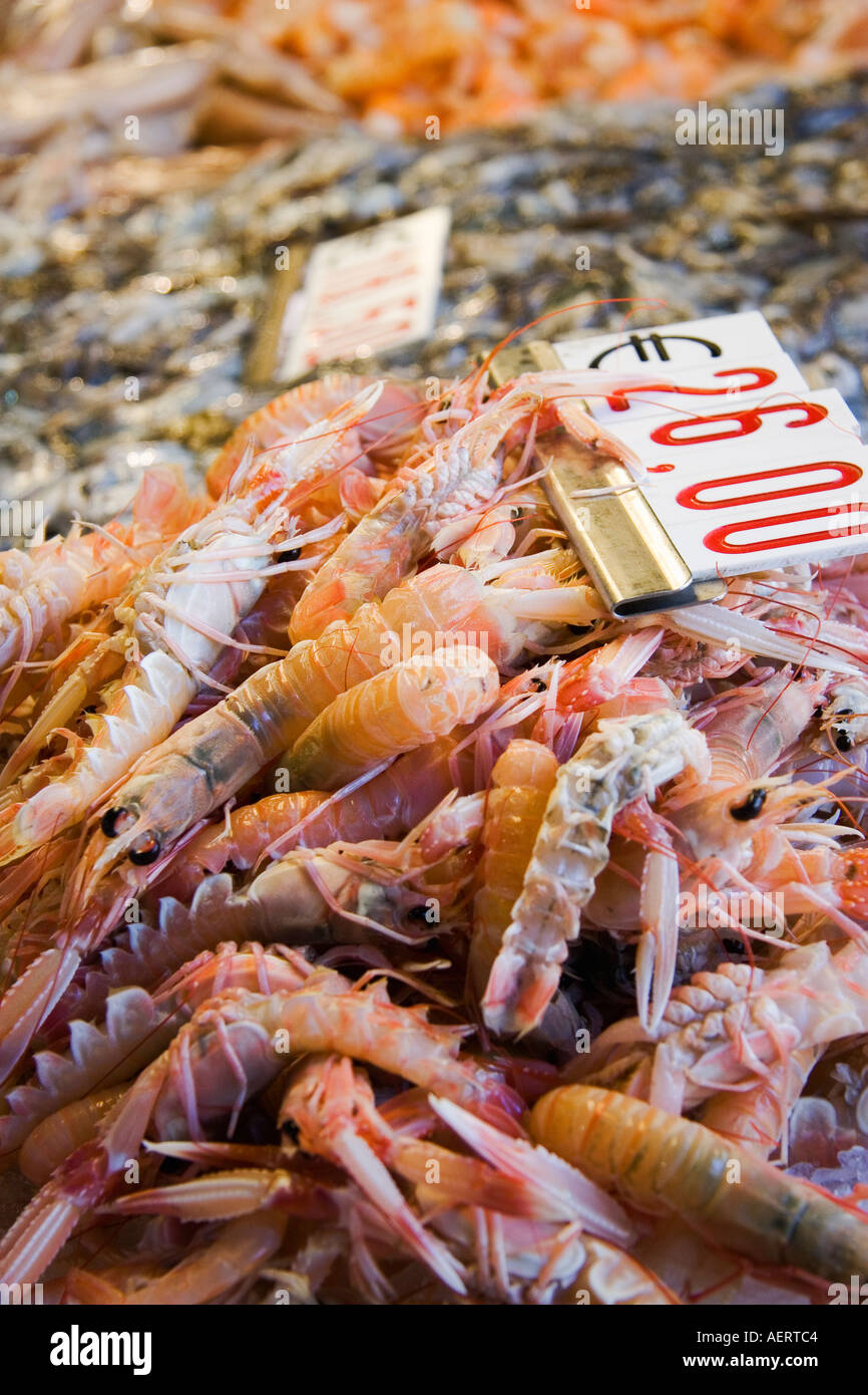 Fresh scampi priced at 26 per kilo at Rialto fish market Venice Italy Stock Photo