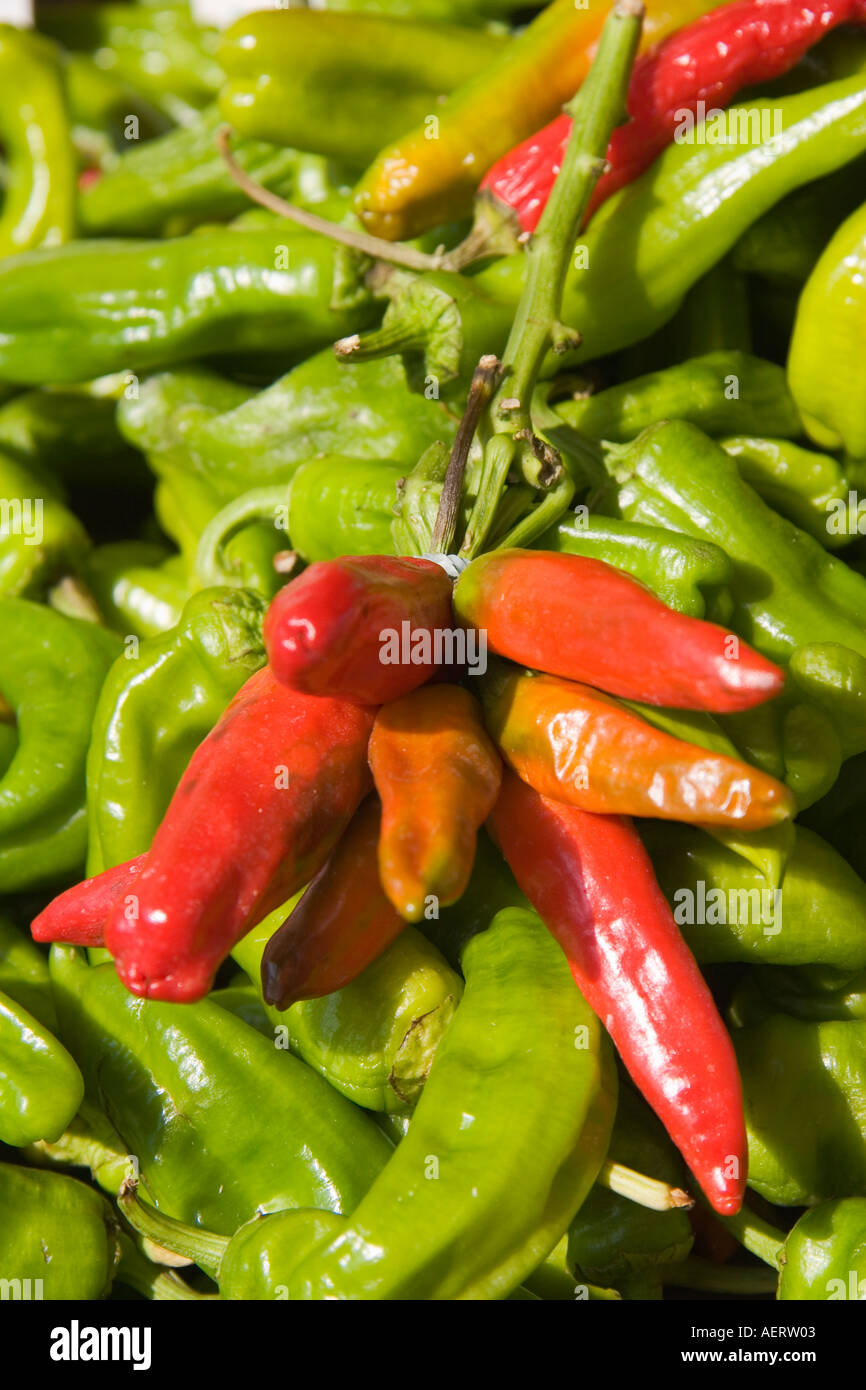 Red and green chile peppers at the Rialto Erberia fresh fruit and