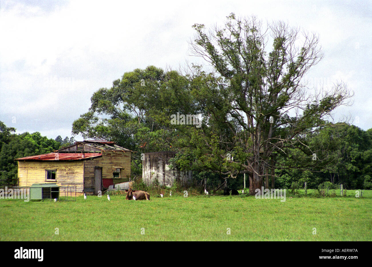 Mullumbimby hires stock photography and images Alamy