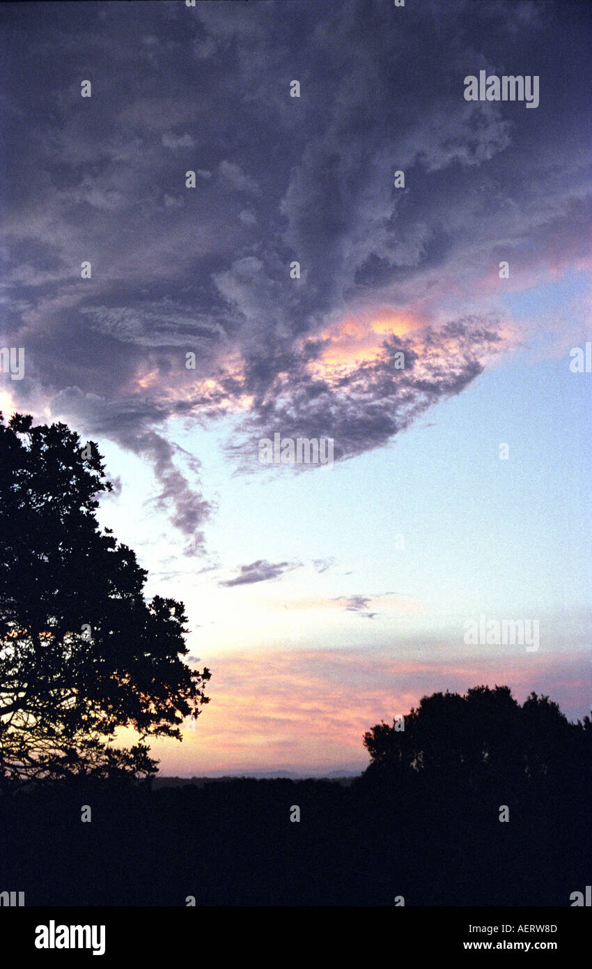 amazing storm rolling in at sunset over open bush land lennox head