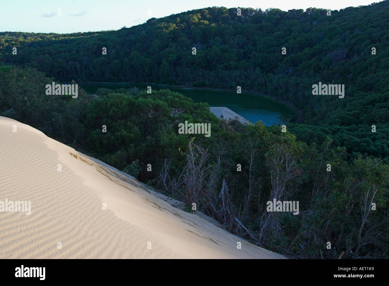 Lake Wabby in the late afternoon viewed from Hammerstone Sandblow