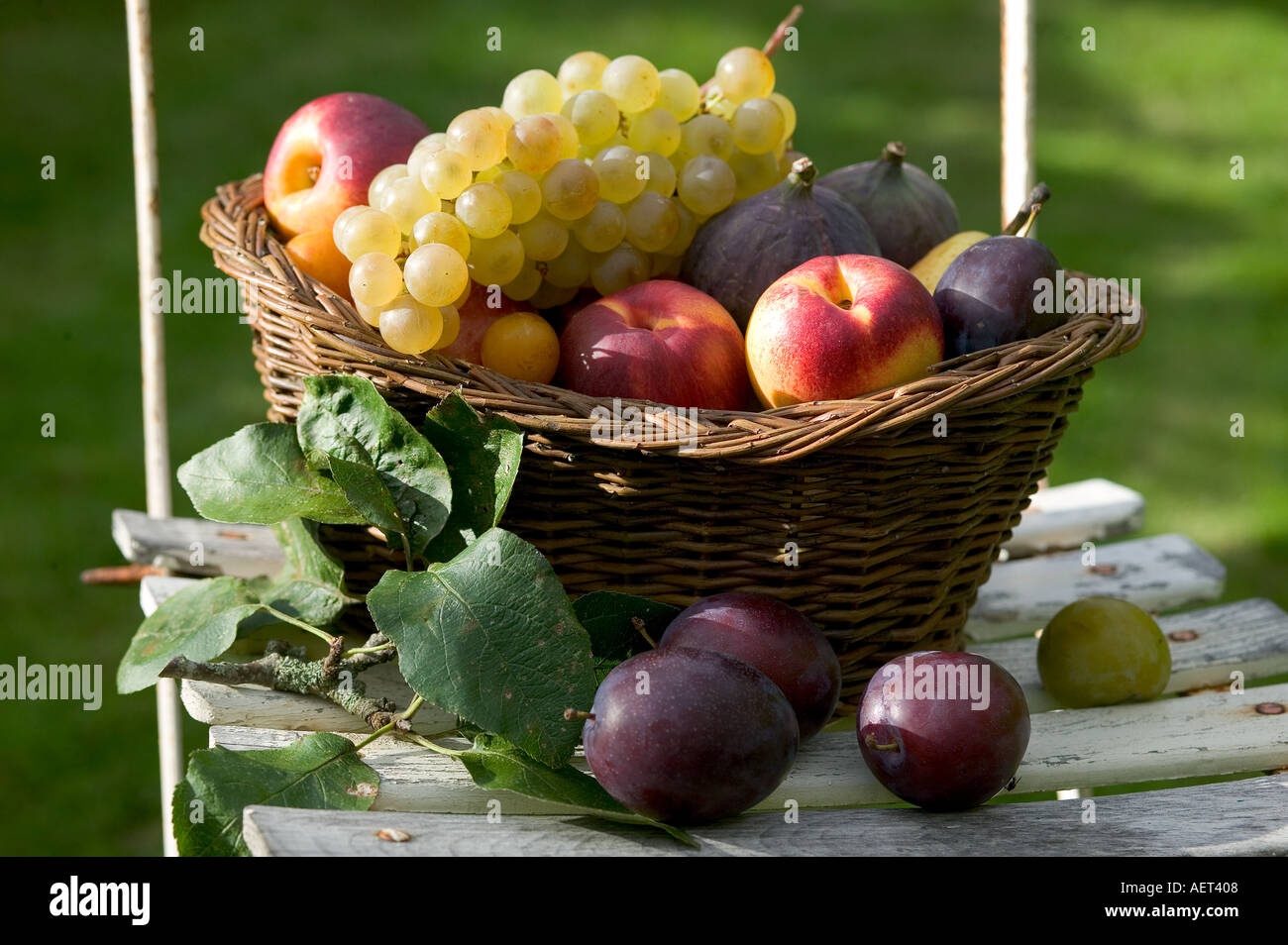 SEASONAL STILL LIFE WITH AN ASSORTMENT OF AUTUMNAL FRUITS IN A WICKER ...