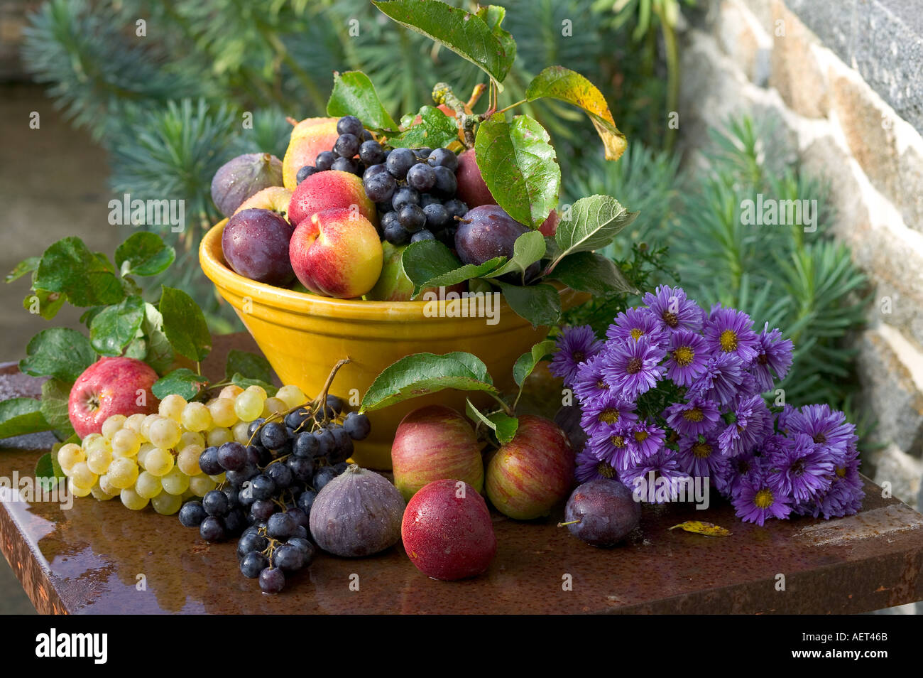Royal choice of grapes hi-res stock photography and images - Alamy