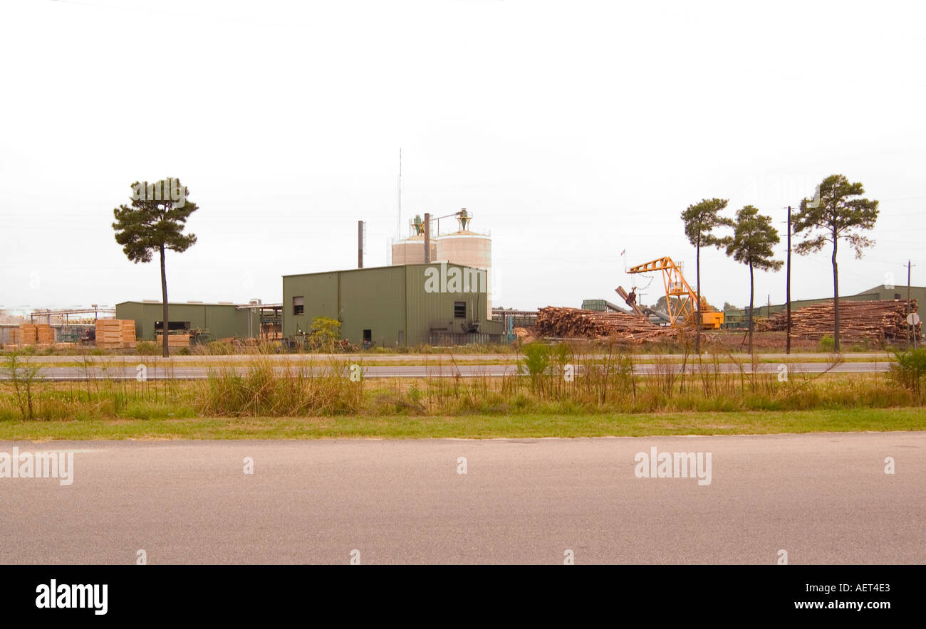 Machine loads timber for processing into lumber at plant in Florence South Carolina USA Stock Photo