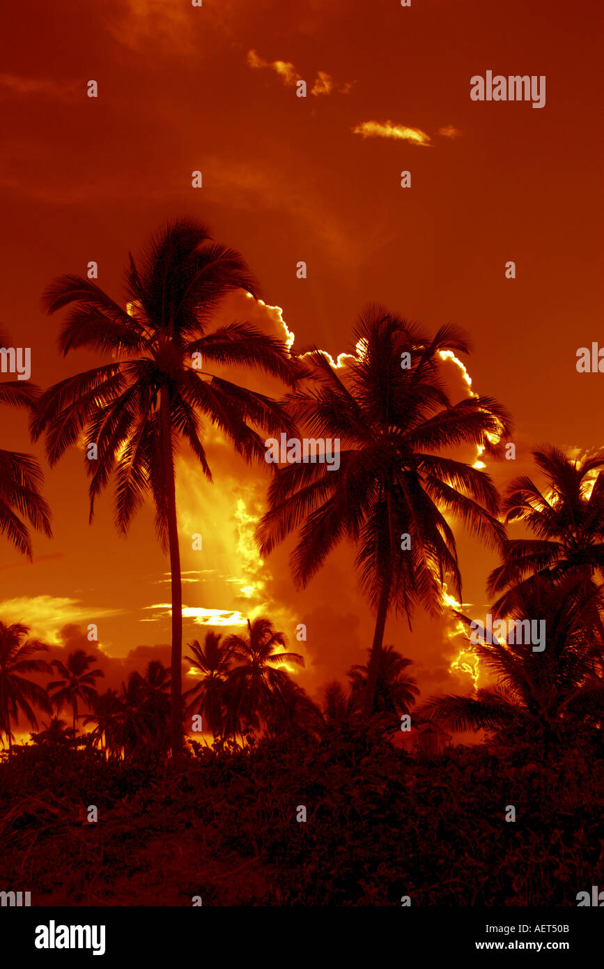 Hot tropical sunset hi-res stock photography and images - Alamy
