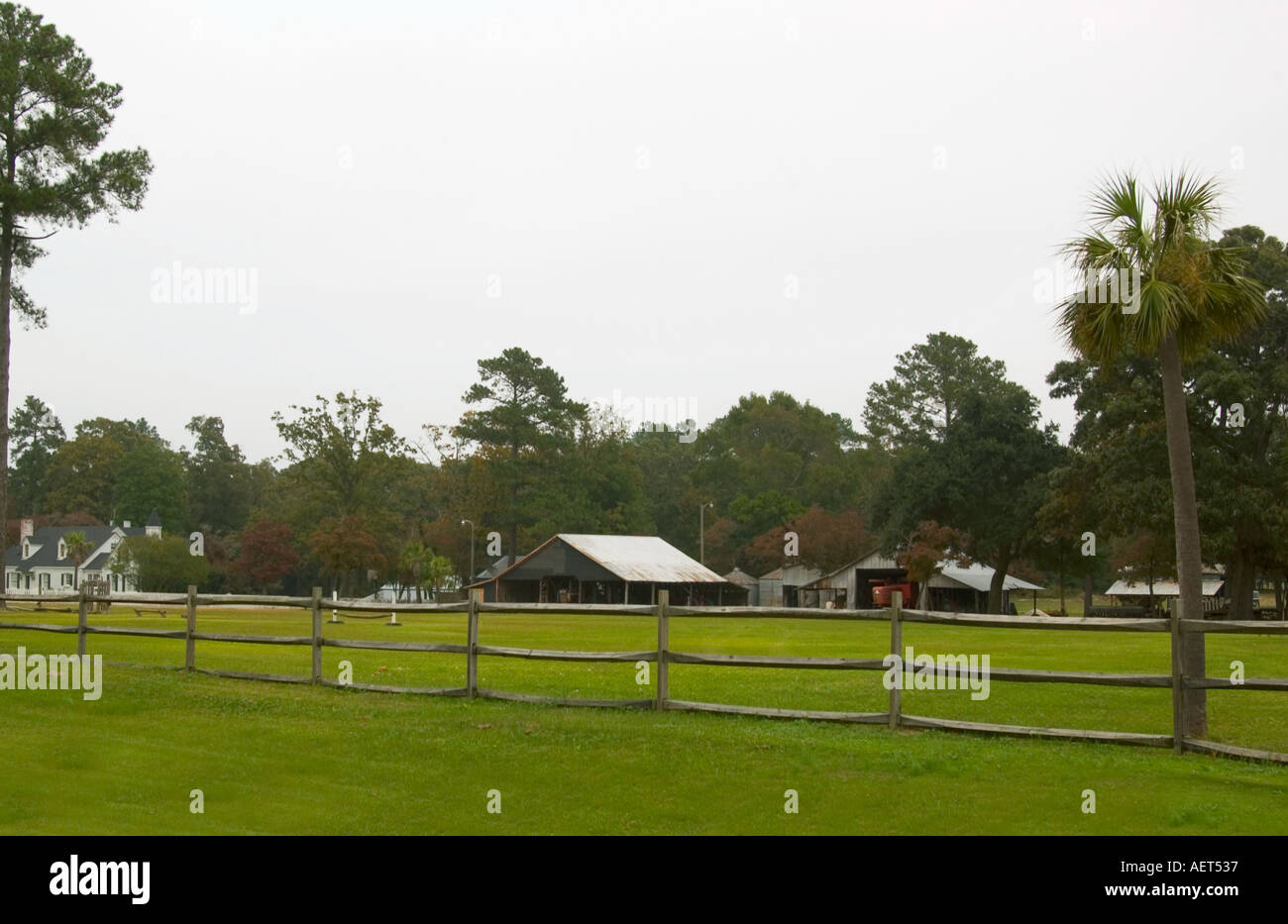 Farmhouse with barn and palmetto tree near Darlington South Carolina