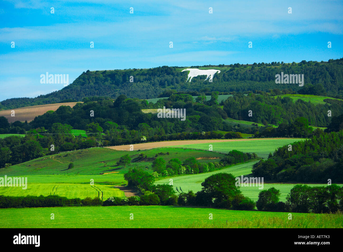 The White Horse Kilburn from near Coxwold Stock Photo