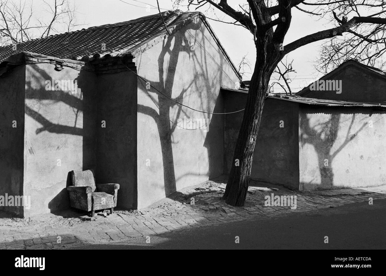 Beijing hutong with tree Black and White Stock Photos & Images - Alamy