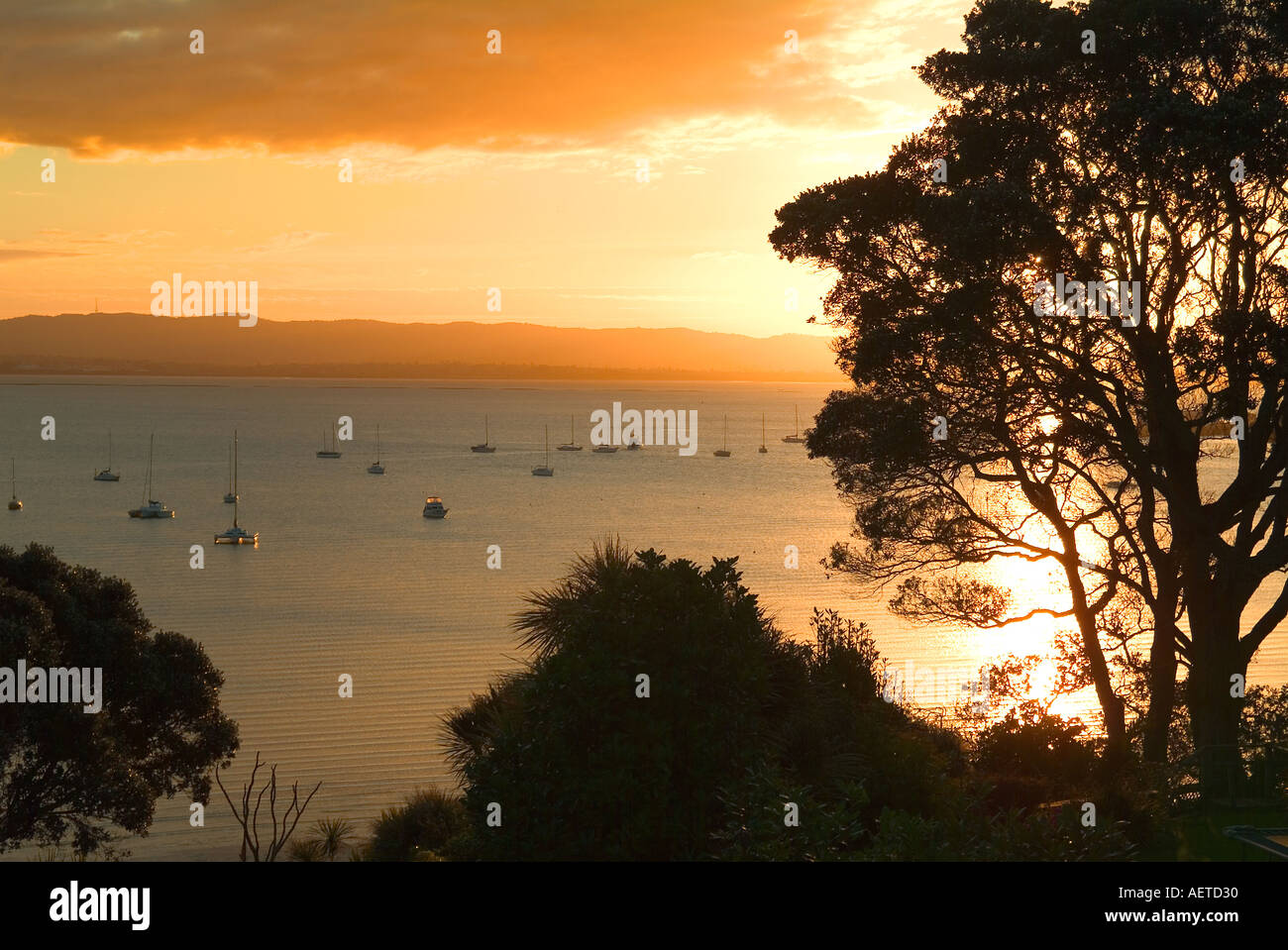 Northcote point auckland hi-res stock photography and images - Alamy