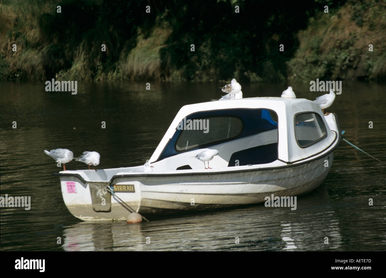 Boat on River Fowey at Golant Cornwall UK Stock Photo
