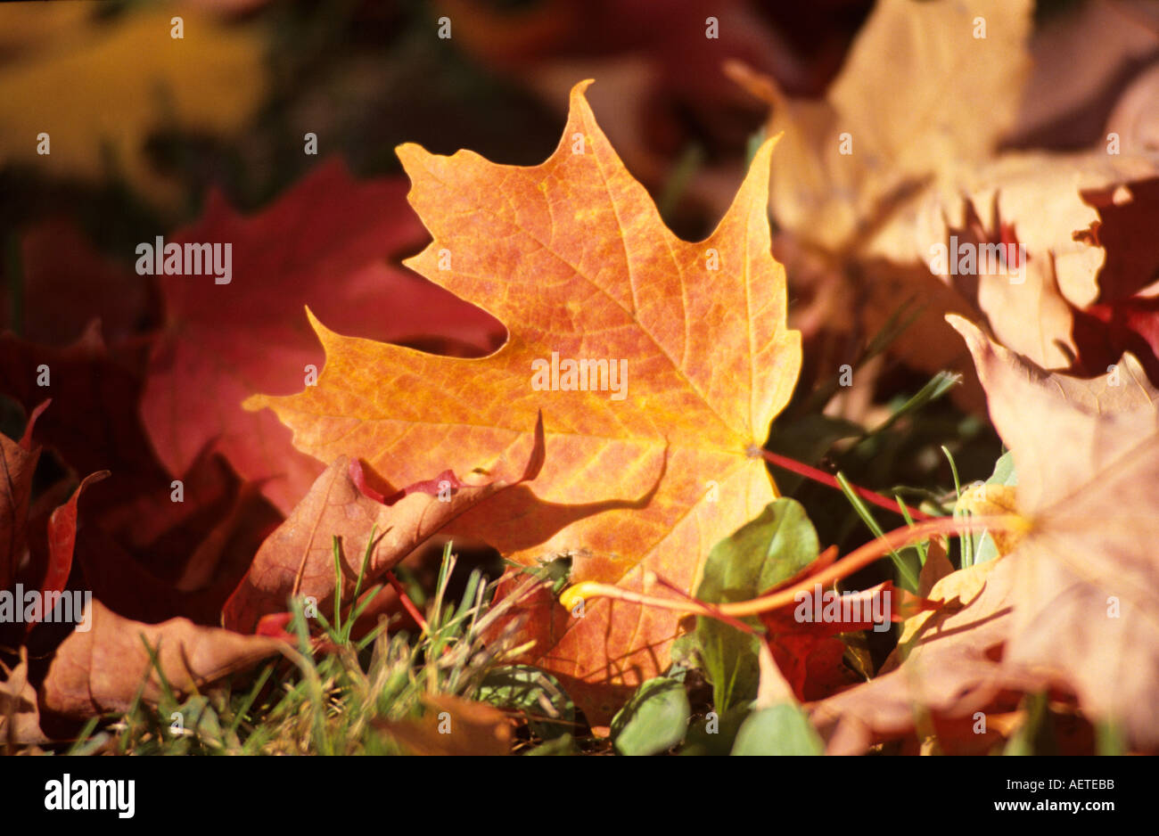 New england touring hi-res stock photography and images - Alamy