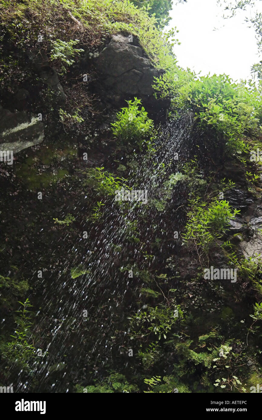 Waterfall in La Palma Stock Photo