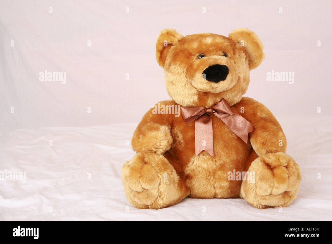 Childrens cute soft toy a traditional furry brown teddy bear sitting ...