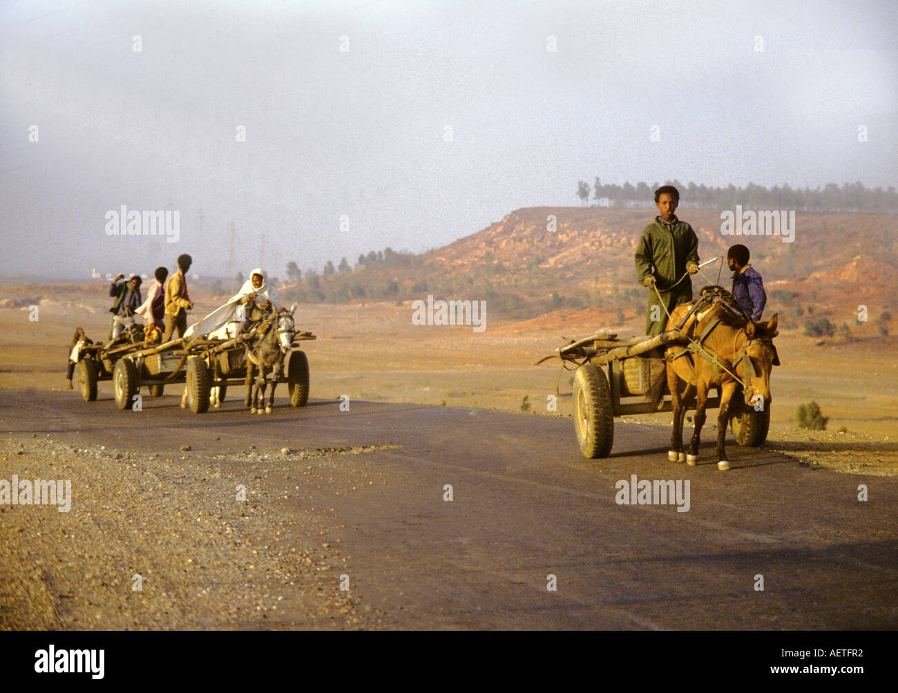 Eritrea.africa   People and horse drawn carts on a widswept road Stock Photo