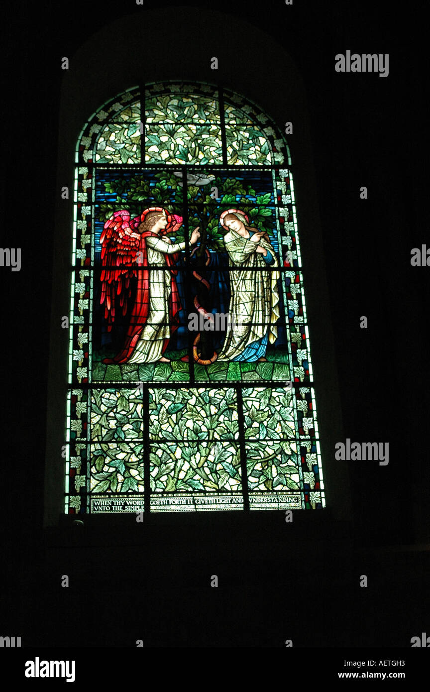 Stained Glass window Winchester Cathedral Stock Photo Alamy