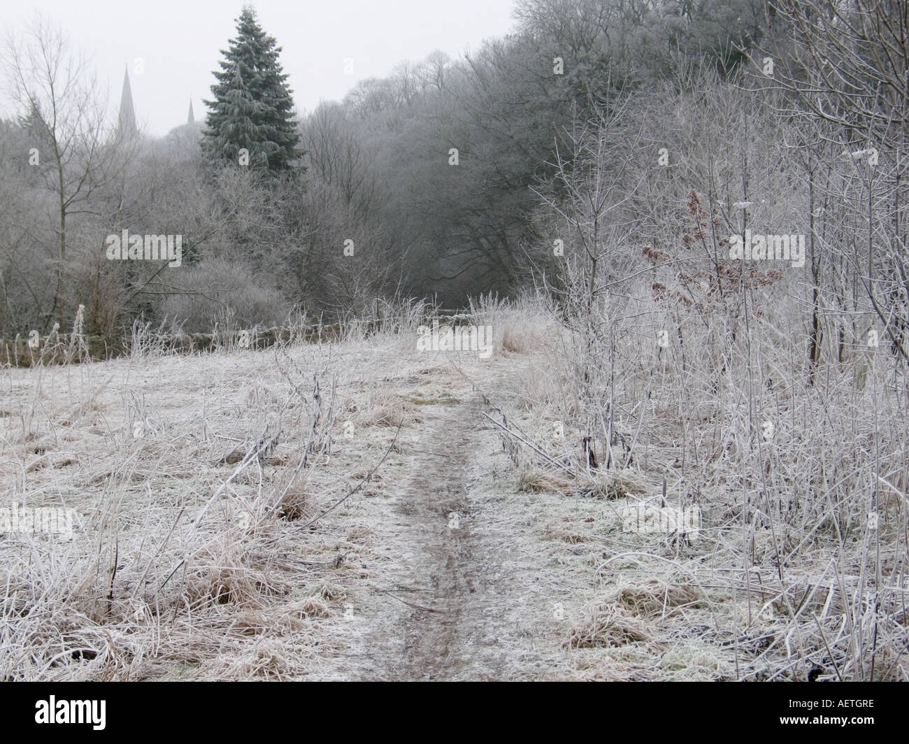Roseburn path hires stock photography and images Alamy
