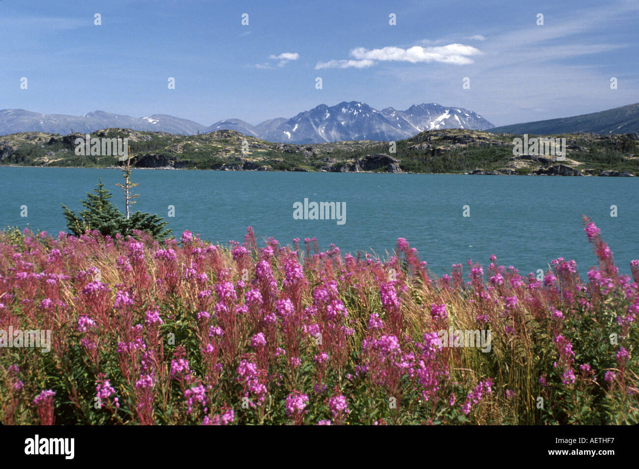 Canada032 hires stock photography and images Alamy