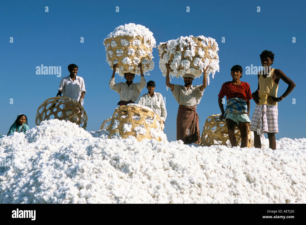 Mill workers on pile of raw cotton balls on Deccan plateau near