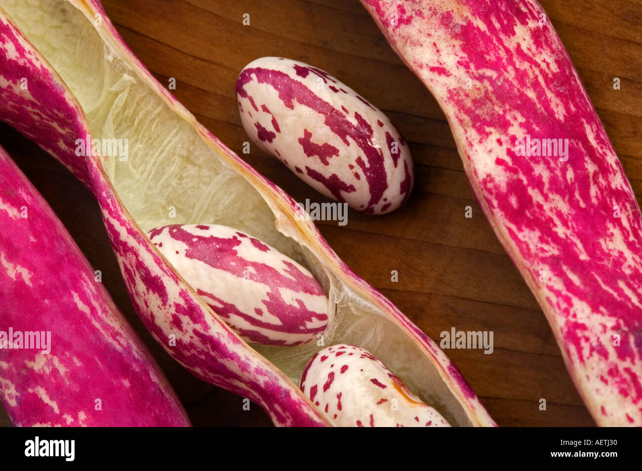 Cranberry  Borlotti beans in pod Stock Photo