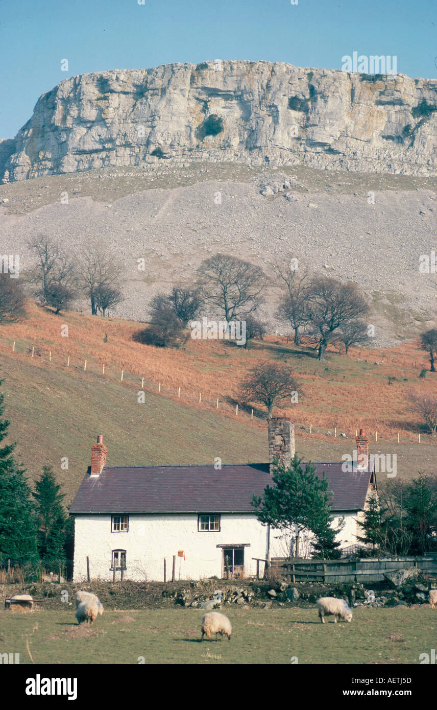 Farmhouse beneath limestone scarp Glwyseg mountain Llangollen Clwyd Wales United Kingdom Europe Stock Photo