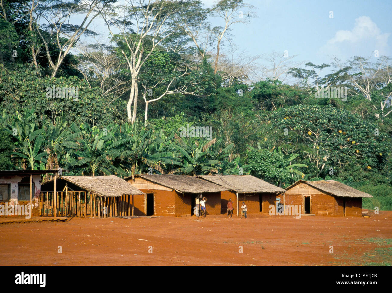Village in the jungle northern area Congo Africa Stock Photo Alamy