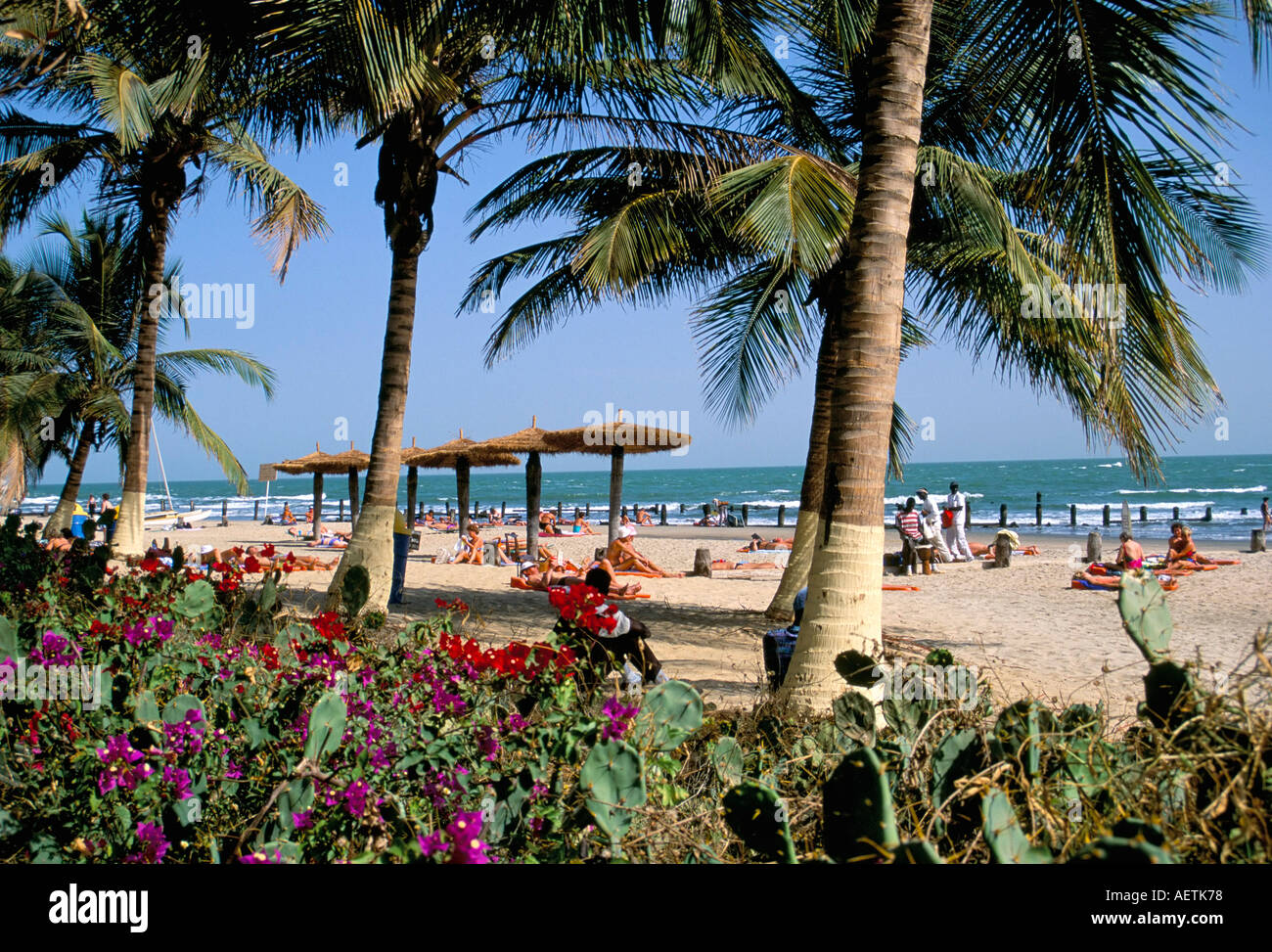 Palm trees and tourists Bakau beach the Gambia West Africa Africa Stock Photo Alamy