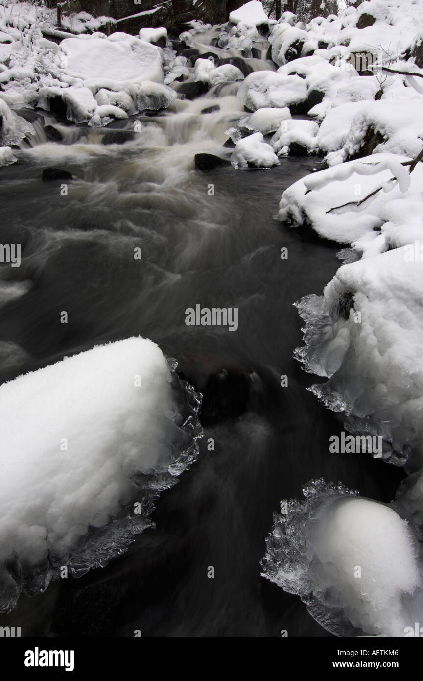 Winter forest stream flowing hi-res stock photography and images - Alamy