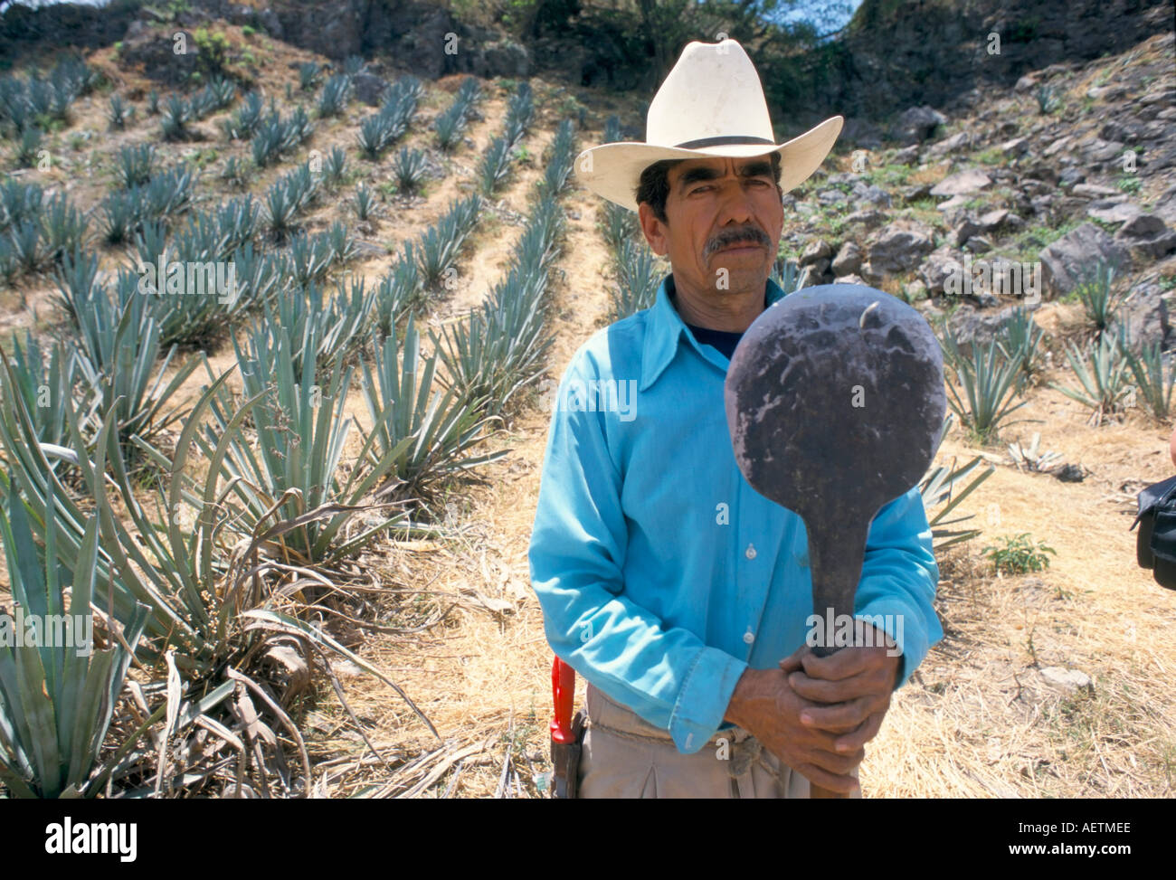 Tequila plantation worker Mexico North America Stock Photo Alamy