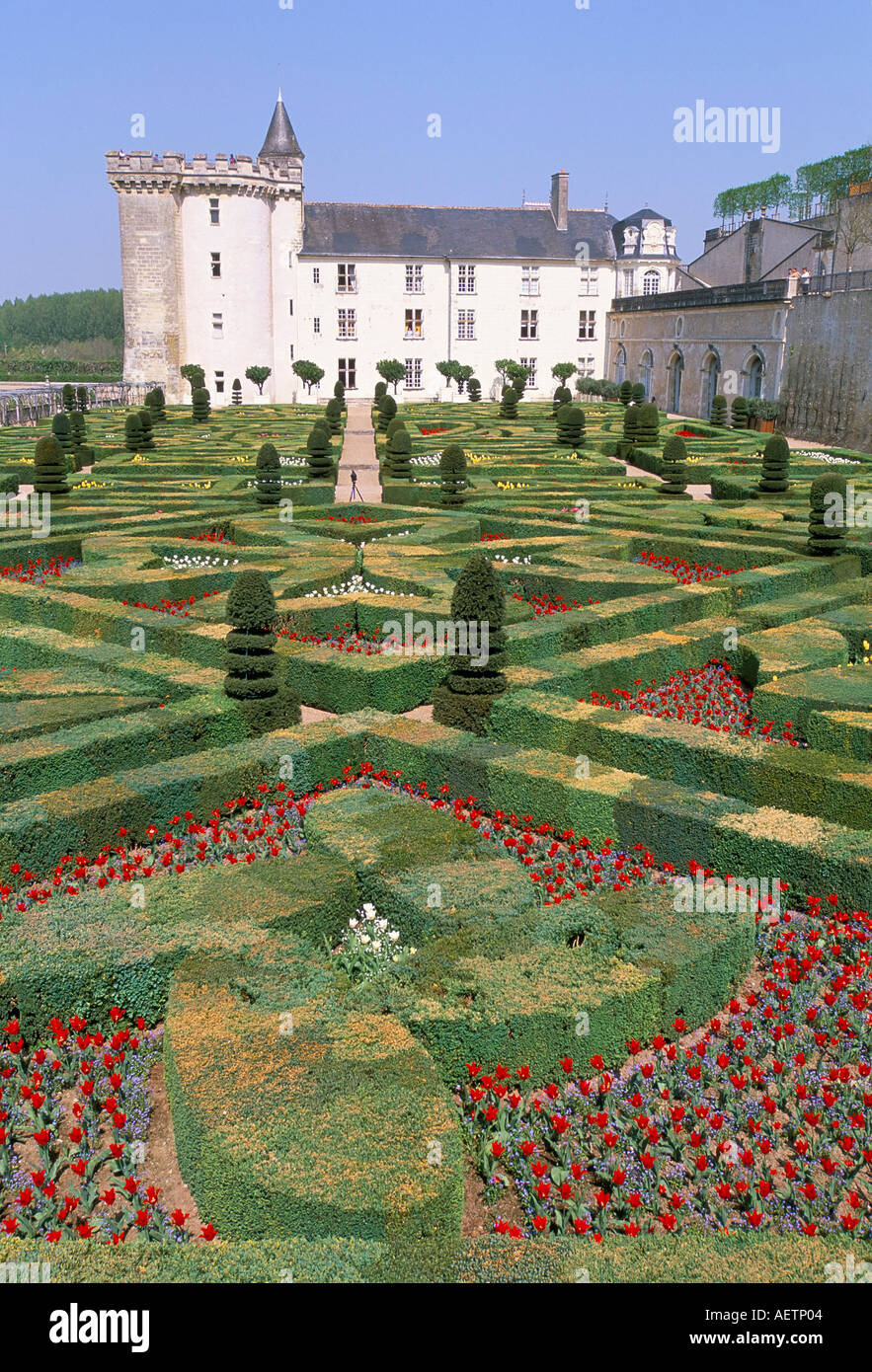 Chateau de Villandry and formal gardens UNESCO World Heritage Site Loire Valley France Europe Stock Photo