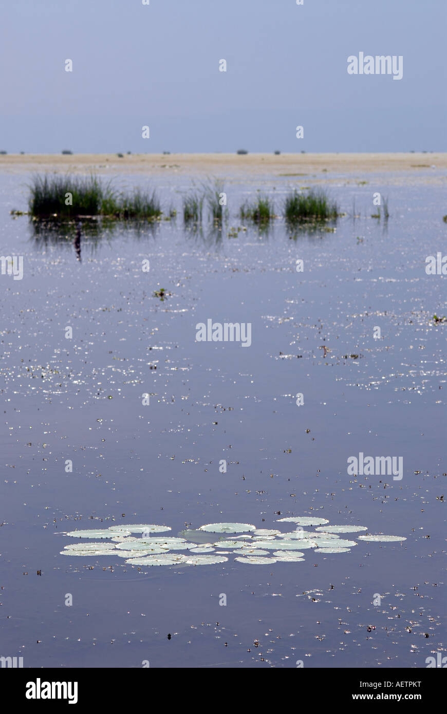 Lake albert rift hi-res stock photography and images - Alamy