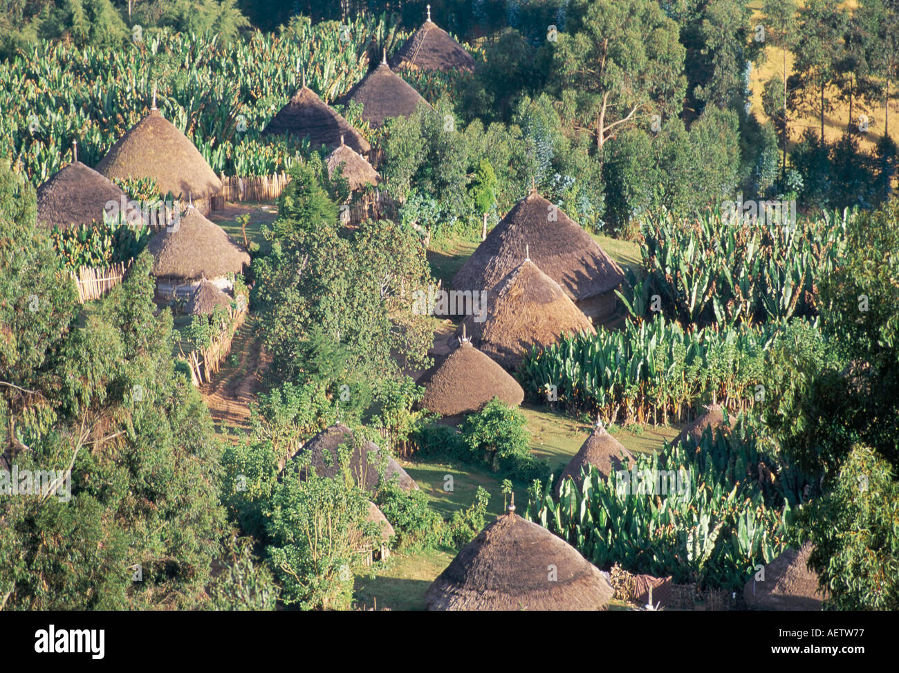 Village in the land of the Gourague Hosana region Shoa province Ethiopia Africa Stock Photo