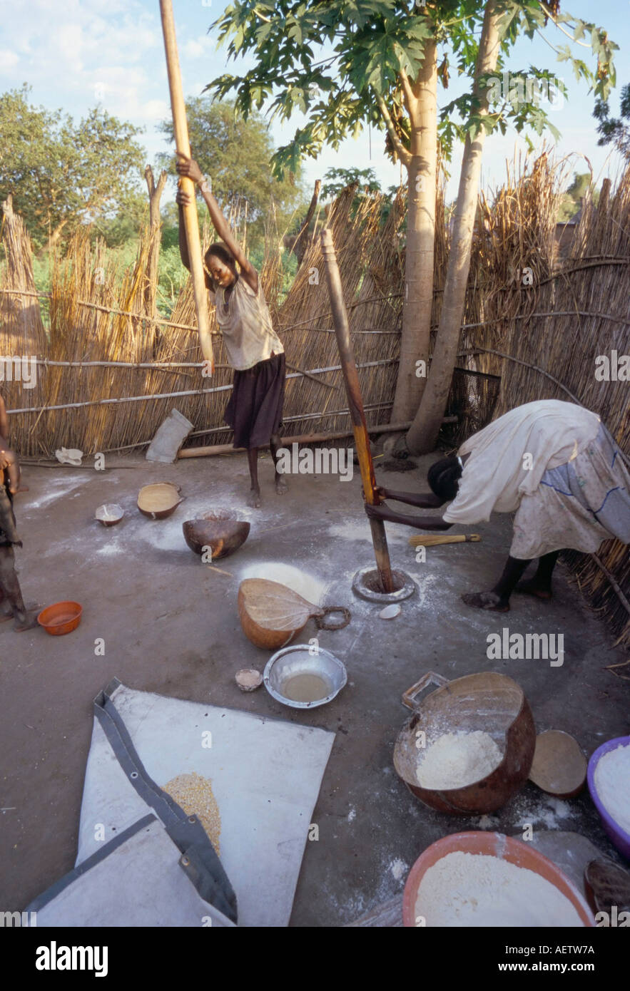 Batour village of the Anouak Anuak ethnic people edge of Lake Tata Ilubador state Ethiopia Africa Stock Photo