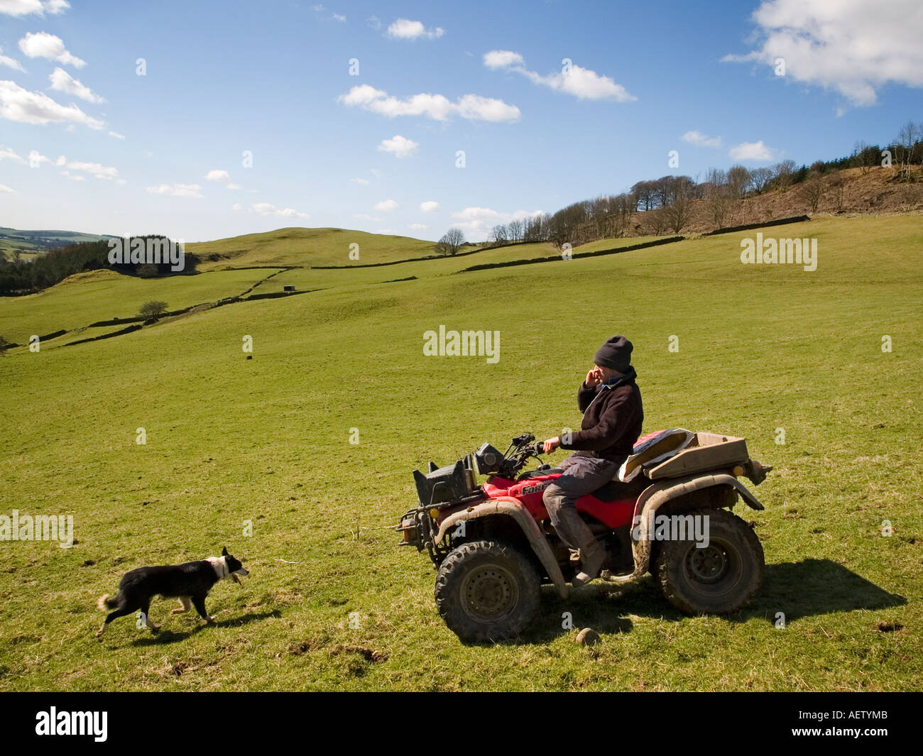 Shepherd stops to take a call on his mobile phone. Stock Photo